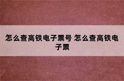 怎么查高铁电子票号 怎么查高铁电子票